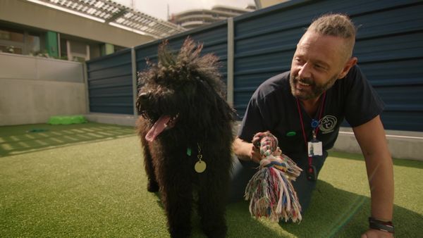 Paul O'Grady: For the Love of Dogs - Episode 8