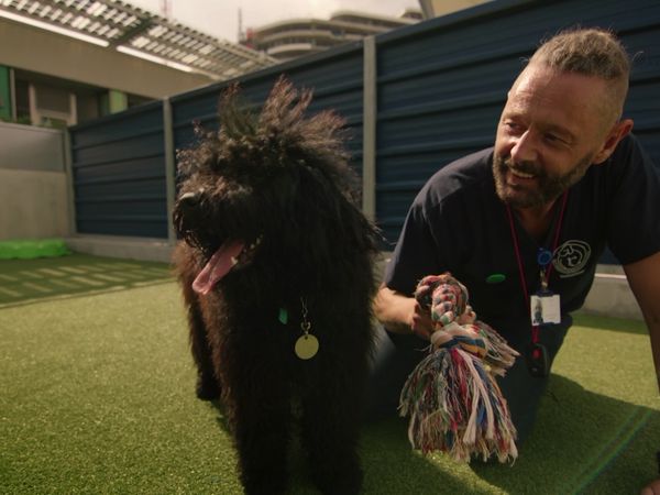Paul O'Grady: For the Love of Dogs - Episode 8