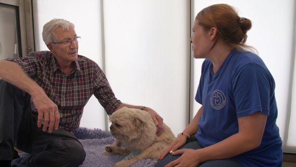 Paul O'Grady: For the Love of Dogs - Episode 5
