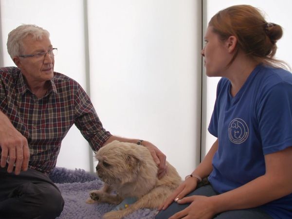Paul O'Grady: For the Love of Dogs - Episode 5