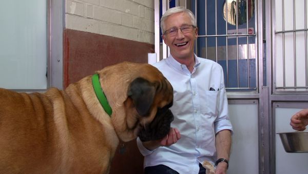 Paul O'Grady: For the Love of Dogs - Episode 6