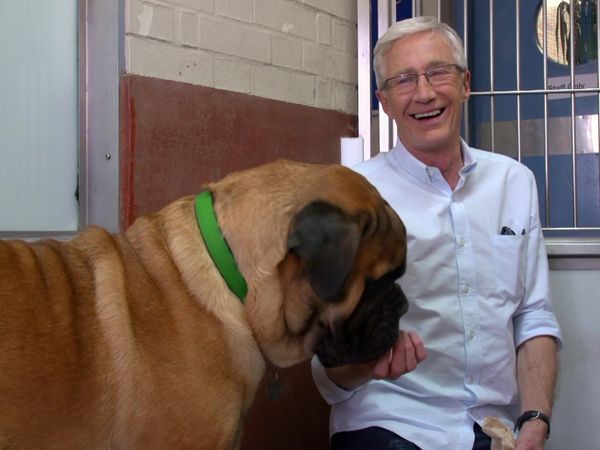 Paul O'Grady: For the Love of Dogs - Episode 6