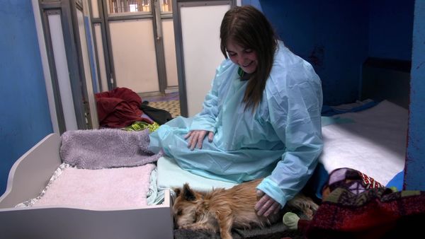 Paul O'Grady: For the Love of Dogs - Episode 9