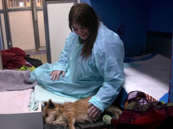 Paul O'Grady: For the Love of Dogs - Episode 9