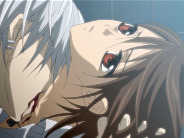 Vampire Knight - Their Choices