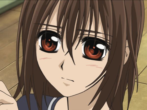 Vampire Knight - The Azure Portrait