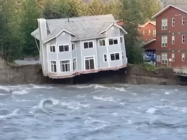 Poisson Fédond - Poisson Fécond - Si Les Océans Débordent de 1m VS 100 000m !