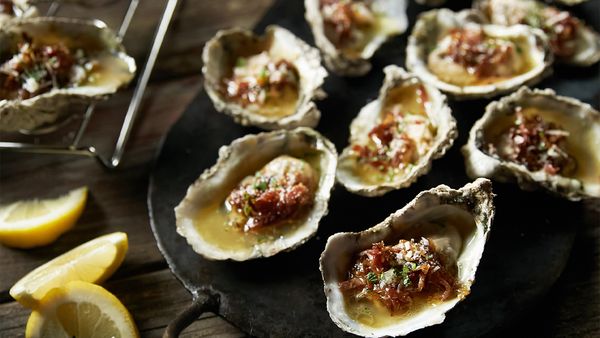 Steven Raichlen's Project Fire - Stustainable Seafood