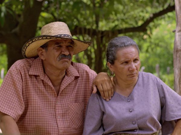 Diomedes - Malos agüeros