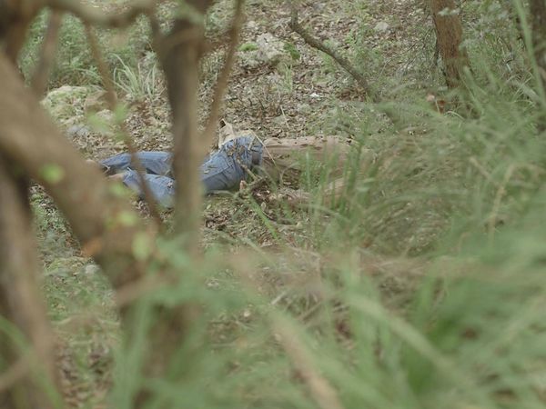 Dark Memories: Crimes From the Balearic Islands - The Case of Dagmar Sprenger