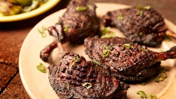 Steven Raichlen's Project Fire - Barbecue Takes Flight