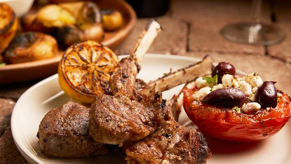 Steven Raichlen's Project Fire - The Mediterranean Grill