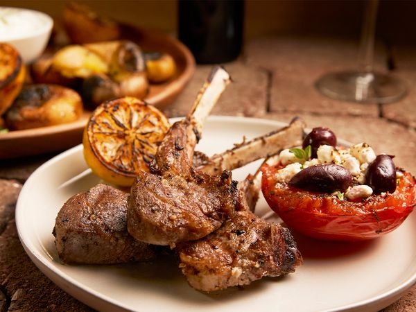 Steven Raichlen's Project Fire - The Mediterranean Grill
