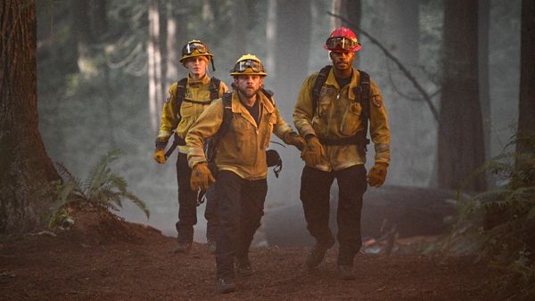Fire Country - Not A Stray