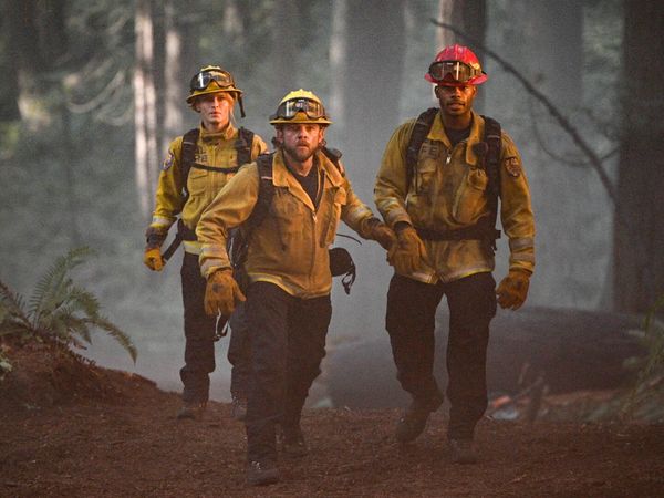 Fire Country - Not A Stray