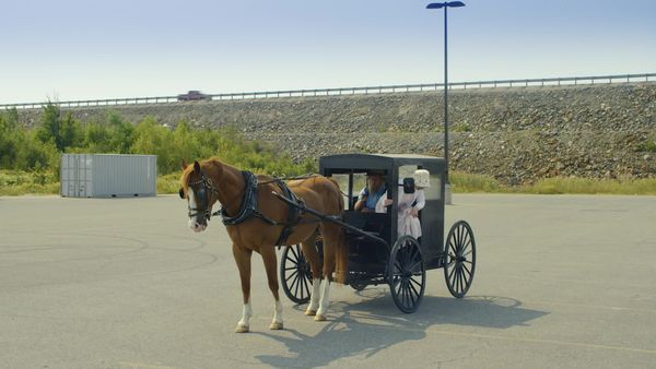 Letterkenny - Dyck’s Slip Out