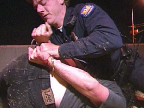 COPS - Brotherly Brawl