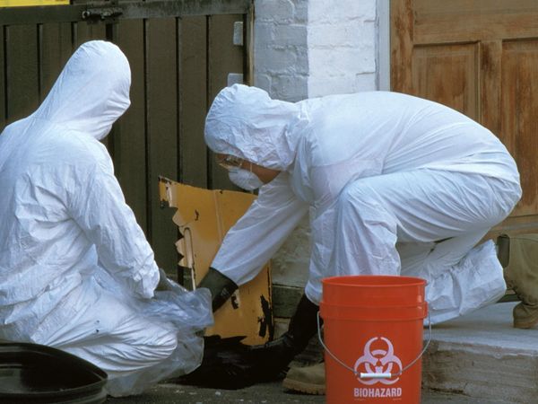 Diagnosis: Unknown - New Epidemic