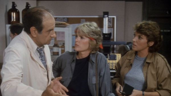 Cagney & Lacey - Der vertrauensbruch