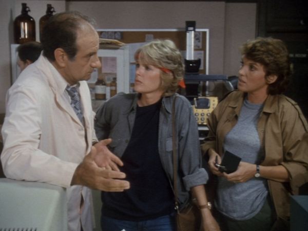 Cagney & Lacey - Der vertrauensbruch