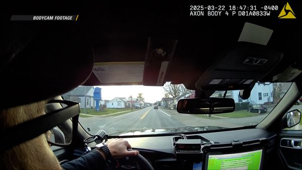 On Patrol: Live - Warrants Served
