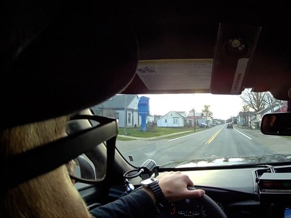 On Patrol: Live - Warrants Served