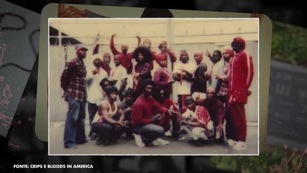 Investigação Criminal Internacional - Crips x Bloods