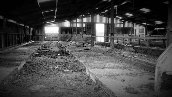 Ghost Dimension - Shadows' Whispers: Barn Haunting