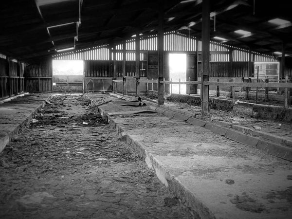Ghost Dimension - Shadows' Whispers: Barn Haunting