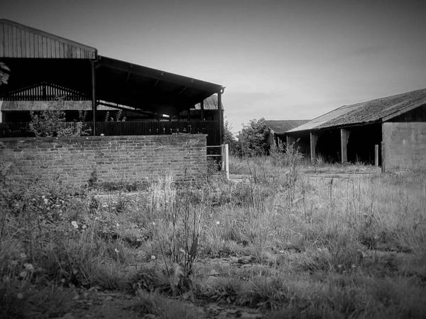 Ghost Dimension - Dark Echoes: Haunted Barn Unveiled