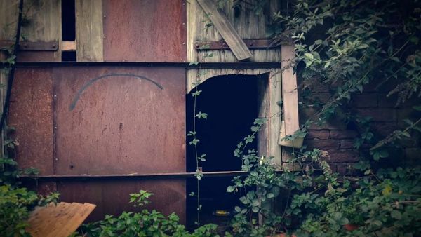 Ghost Dimension - Beyond the Veil: Zoo's Ghostly Enigma