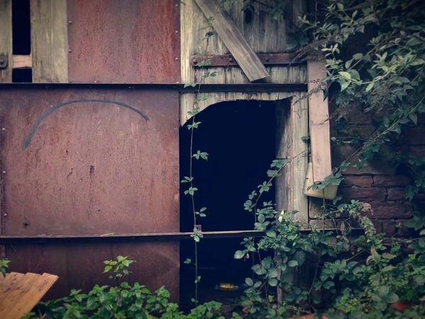 Ghost Dimension - Beyond the Veil: Zoo's Ghostly Enigma