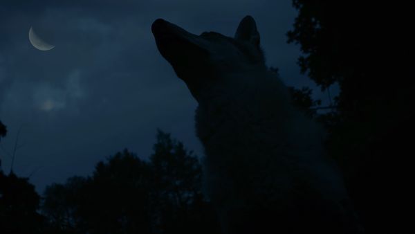 Detective Anna - The Zatonsk Werewolf - Part 1