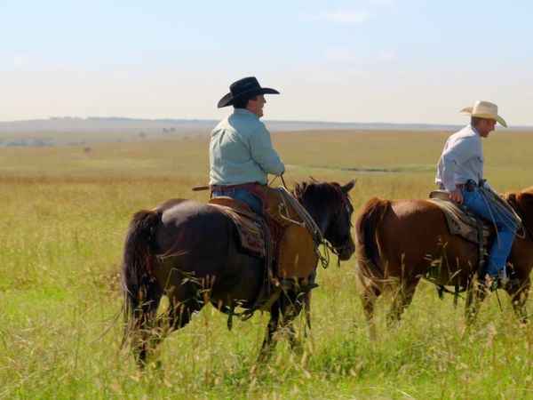 The Pioneer Woman - Osage Cowboy's Lunch