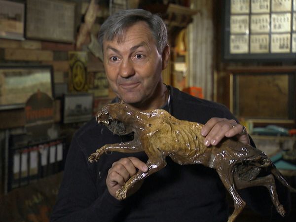 American Pickers - Avsnitt 1712