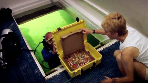 World's Strangest - World's Strangest Jobs