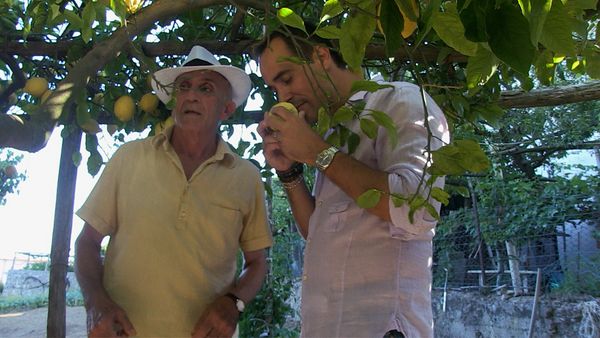 David Rocco’s Amalfi Getaway - Limone