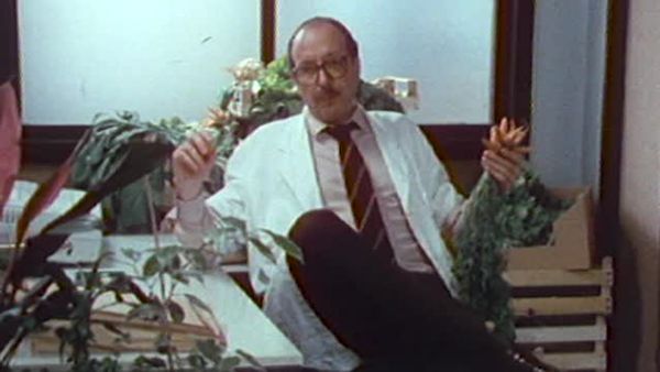 Büro, Büro - Der Mann aus Boston