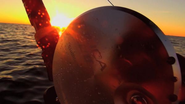 Inside Sportfishing - How the Premiere Prince Edward Island Tuna Fishery Was Born
