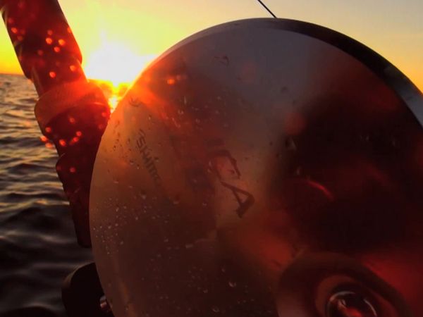 Inside Sportfishing - How the Premiere Prince Edward Island Tuna Fishery Was Born