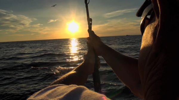 Inside Sportfishing - Swimming with 1000 LB Bluefin: Prince Edward Island