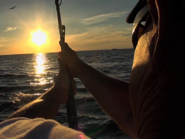 Inside Sportfishing - Swimming with 1000 LB Bluefin: Prince Edward Island