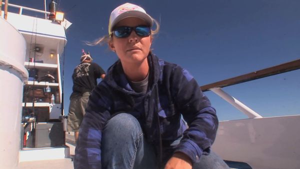 Inside Sportfishing - Yellowfin Mecca: Journey to Guadalupe Island