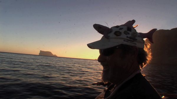 Inside Sportfishing - Tuna Pays the Shark Tax at Guadalupe Island