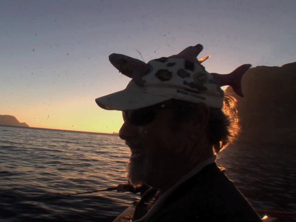 Inside Sportfishing - Tuna Pays the Shark Tax at Guadalupe Island