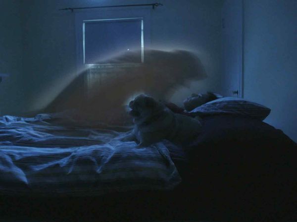 Scariest Night Of My Life - Her Own Strength + Fright or Flight