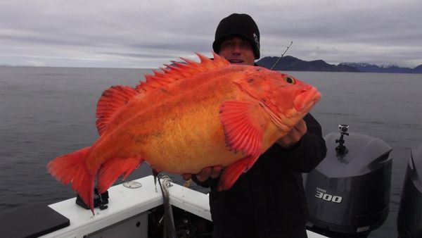Inside Sportfishing - Big Fishing in the Final Frontier