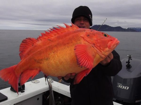 Inside Sportfishing - Big Fishing in the Final Frontier