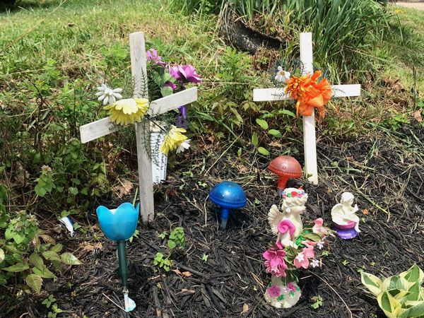 Hometown Tragedy - The Pike County Massacre