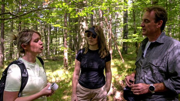 The Last Hunt For Nazi Gold - Merkers Mine